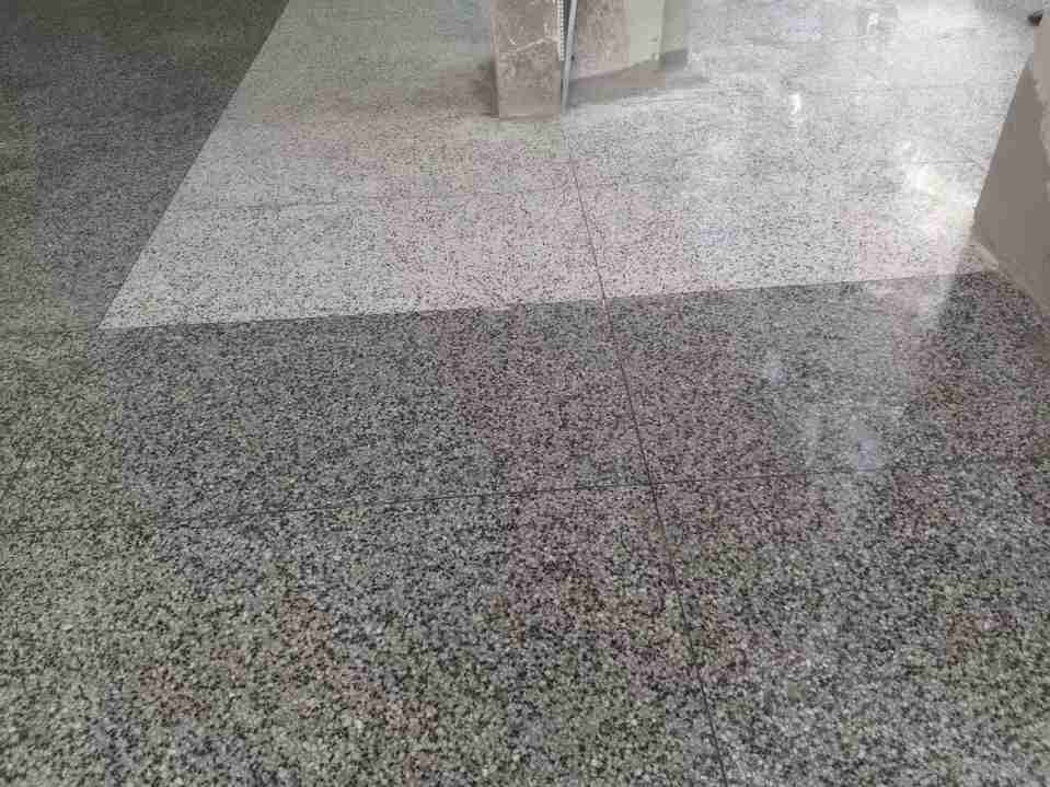 Two-Tone Polished Floor